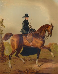Il cavallo di una signora - Proprietà del defunto conte di Pembroke, c. 1840, c. 1879 da Henri d