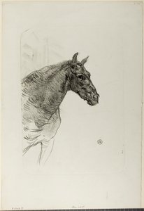 Philibert il Pony da Henri de Toulouse-Lautrec