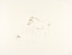 Il piccolo Pony di Calmèse