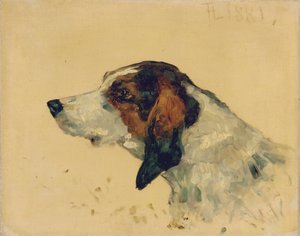 Cane da caccia, 1881