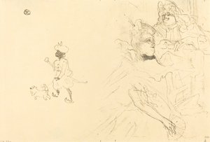 Copertina per L
