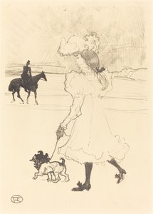 Nel bosco