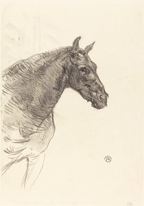 Vecchio Cavallo