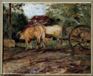 I buoi sotto il giogo da Henri de Toulouse Lautrec