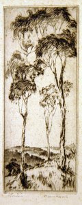 Eucalipti da Henri van Raalte