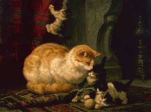 Gattini che Giocano
