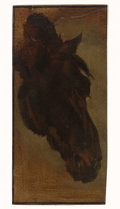 Testa di cavallo