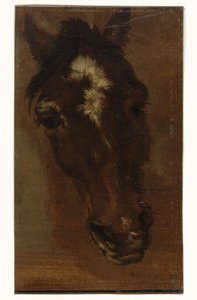 Testa di cavallo da Henriëtte Ronner