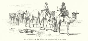 Viaggio in Arabia da Henry (after) Warren