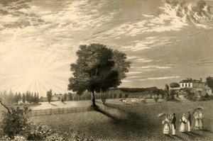 Sennicots da Henry Alexander Ogg