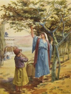 Raccolta di fichi da Henry Andrew Harper