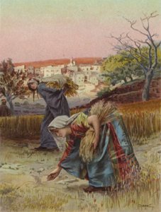Raccoglitori nel campo