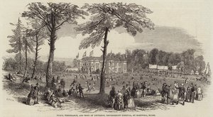 Festa della Pace, Temperanza e Fratellanza Universale, a Hartwell, Bucks da Henry Anelay