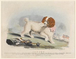 Sancho, Battaglia di Salamanca, 1812