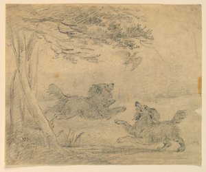 Studio di due spaniel in un parco da Henry Bernard Chalon