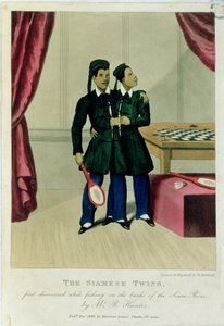 I gemelli siamesi, scoperti per la prima volta mentre pescavano sulle rive del fiume Siam dal signor R. Hunter, 1829 da Henry Berthoud
