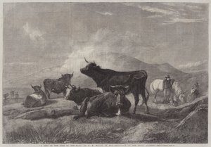 Una sosta sulla strada per la fiera