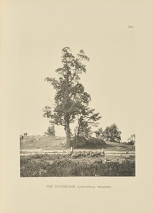 Il Batchelder Sassafras, Reading da Henry Brooks