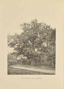 La quercia di Beaman, Lancaster da Henry Brooks