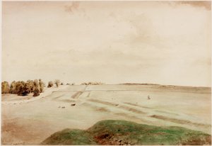Discesa, Northumberland da Henry Burdon Richardson