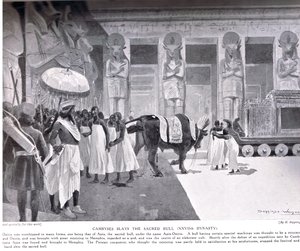 Cambise uccide il Toro Sacro, illustrazione da 