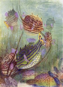 Il pesce coffer dei mari corallini da Henry Charles Seppings Wright