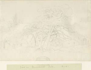 Parco di Beaudesert