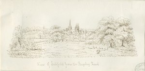 Lichfield - Vista Nord (lontana) da Henry Curzon Allport