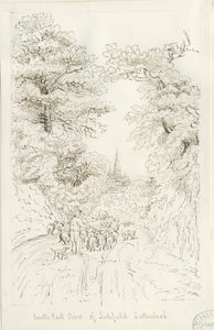 Cattedrale di Lichfield - Vista sud-est (distanza)
