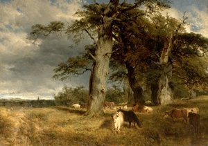 Paesaggio nelle Dukeries, Nottinghamshire, 1850