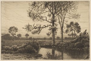 Grigio e malinconico autunno