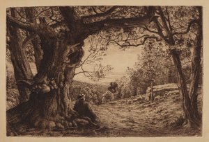 Sulla Collina