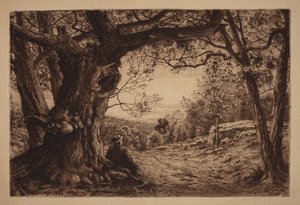 Sul pendio da Henry Farrer