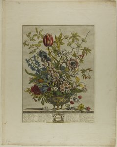 Febbraio, da Dodici mesi di fiori da Henry Fletcher