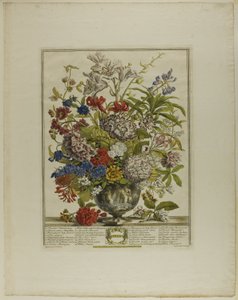 Luglio, da Dodici mesi di fiori da Henry Fletcher