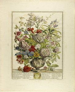 Luglio, da Dodici mesi di fiori da Henry Fletcher