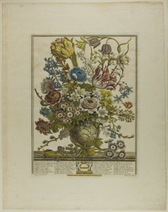 Marzo, dai Dodici Mesi di Fiori da Henry Fletcher