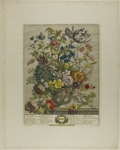 Maggio, da Dodici Mesi di Fiori da Henry Fletcher