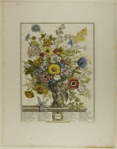 Novembre, dai Dodici Mesi di Fiori da Henry Fletcher