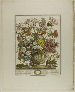 Ottobre, dai Dodici Mesi di Fiori da Henry Fletcher