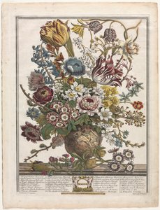 Dodici Mesi di Fiori: Marzo