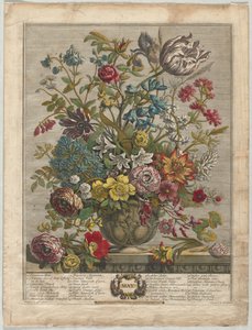 Dodici Mesi di Fiori: Maggio