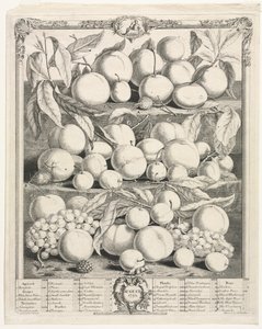 Dodici mesi di frutta: Agosto, 1732 da Henry Fletcher