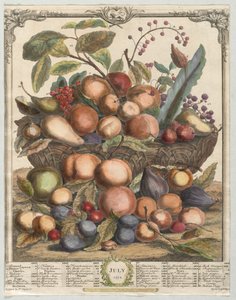 Dodici Mesi di Frutta: Luglio da Henry Fletcher