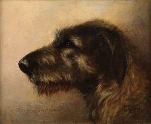 Campione Clodagh di Ouborough, un levriero irlandese da Henry Frederick Lucas Lucas