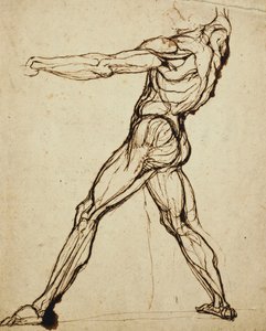 Un nudo che lancia da Johann Heinrich Füssli