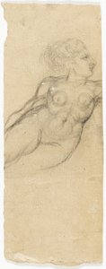 Studi di nudo