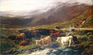 Mucche nelle Highlands da Henry Garland