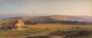 Pascoli di South Downs da Henry George Hine