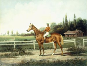 Un cavallo da corsa castano con fantino su una pista di allenamento con stalle oltre da Henry H. Cross